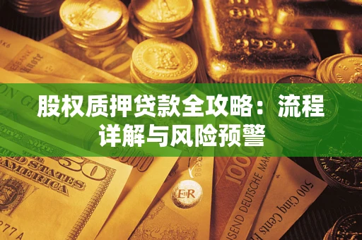 武汉股权质押贷款全攻略：流程详解与风险预警