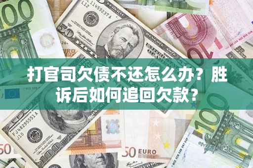 武汉打官司欠债不还怎么办？胜诉后如何追回欠款？