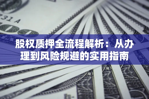 武汉股权质押全流程解析：从办理到风险规避的实用指南