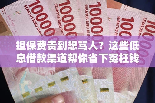 武汉担保费贵到想骂人？这些低息借款渠道帮你省下冤枉钱