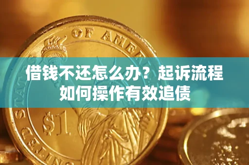 武汉借钱不还怎么办？起诉流程如何操作有效追债