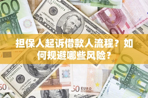 武汉担保人起诉借款人流程？如何规避哪些风险？