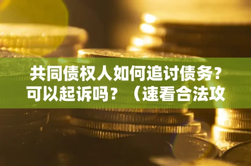 武汉共同债权人如何追讨债务？可以起诉吗？（速看合法攻略）