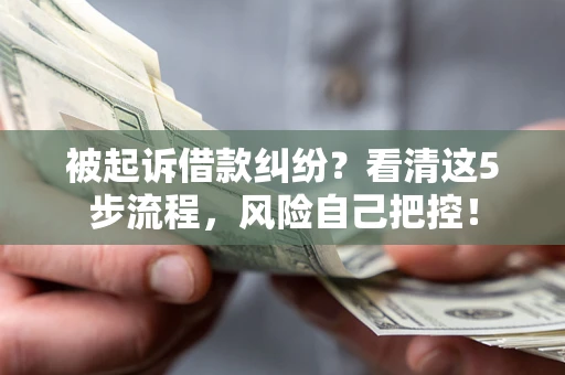 武汉被起诉借款纠纷？看清这5步流程，风险自己把控！