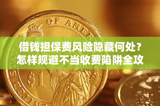 武汉借钱担保费风险隐藏何处？怎样规避不当收费陷阱全攻略！