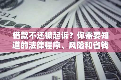 武汉借款不还被起诉？你需要知道的法律程序、风险和省钱技巧