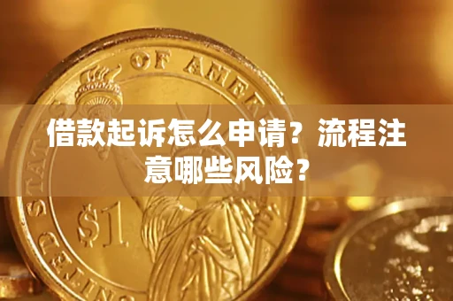 武汉借款起诉怎么申请？流程注意哪些风险？